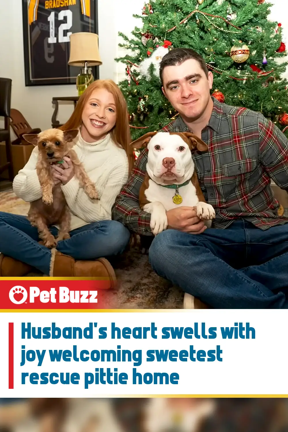 Husband\'s heart swells with joy welcoming sweetest rescue pittie home