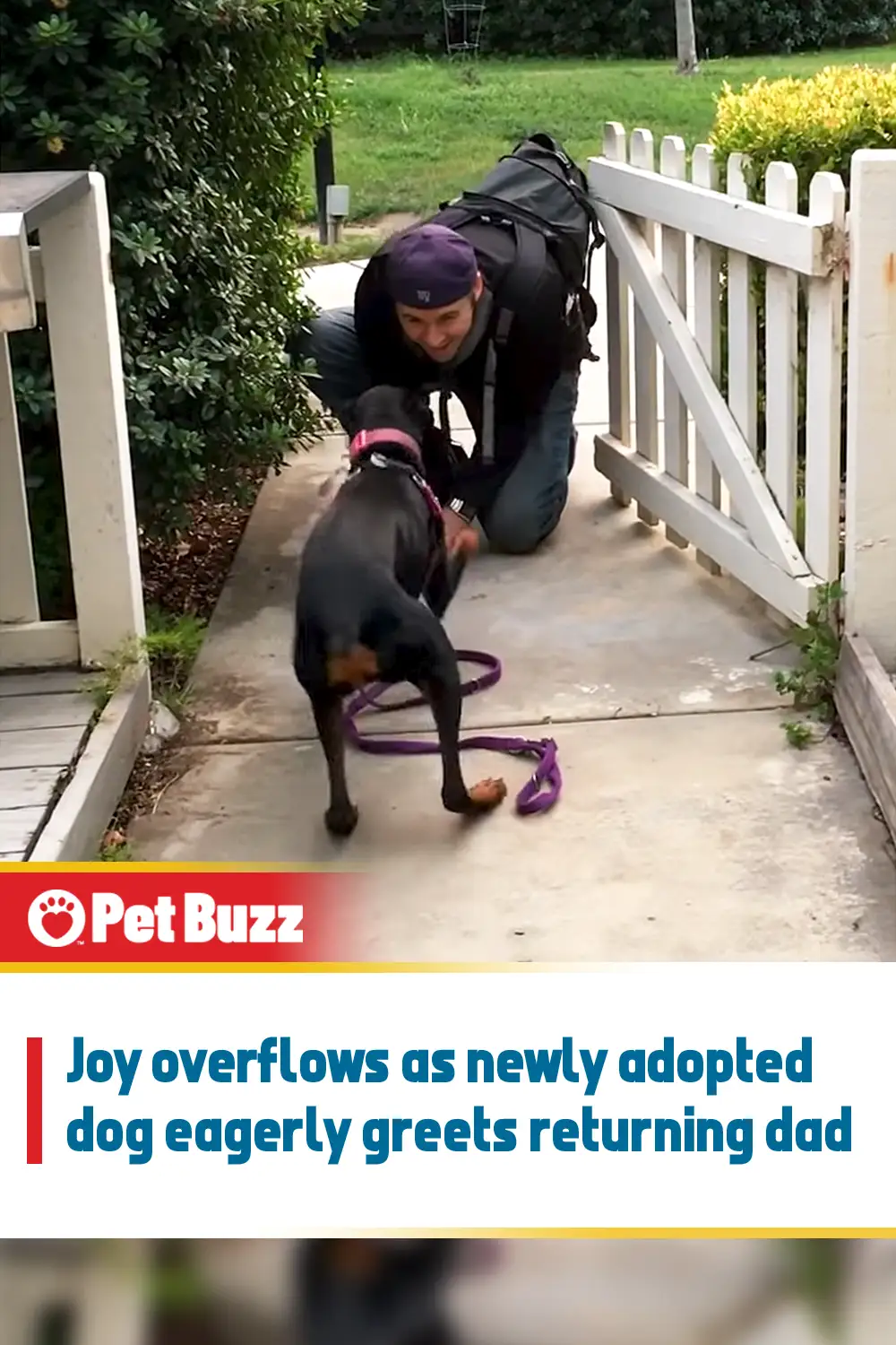 Joy overflows as newly adopted dog eagerly greets returning dad