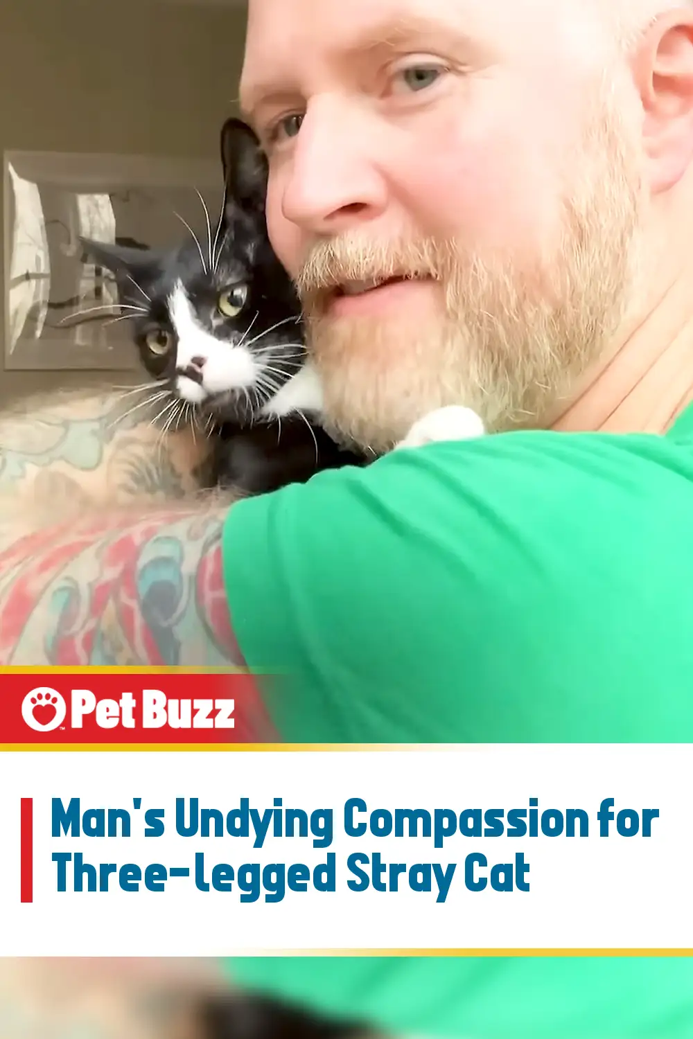 Man\'s Undying Compassion for Three-legged Stray Cat