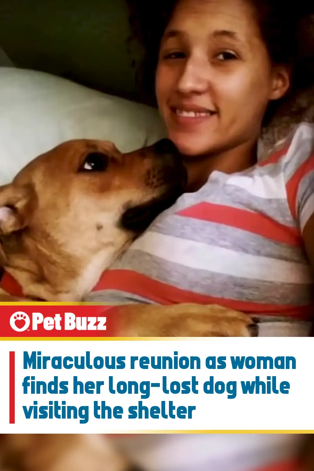Miraculous reunion as woman finds her long-lost dog while visiting the shelter