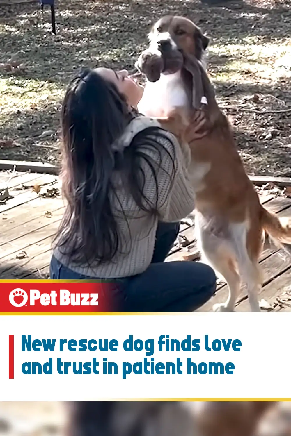 New rescue dog finds love and trust in patient home