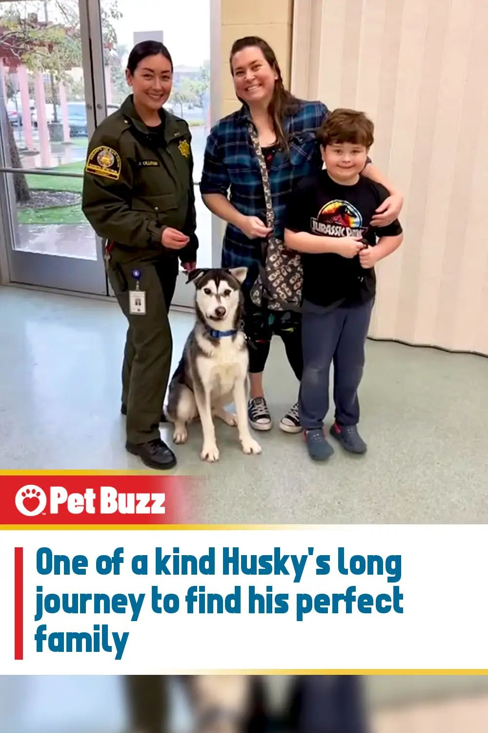 One of a kind Husky\'s long journey to find his perfect family