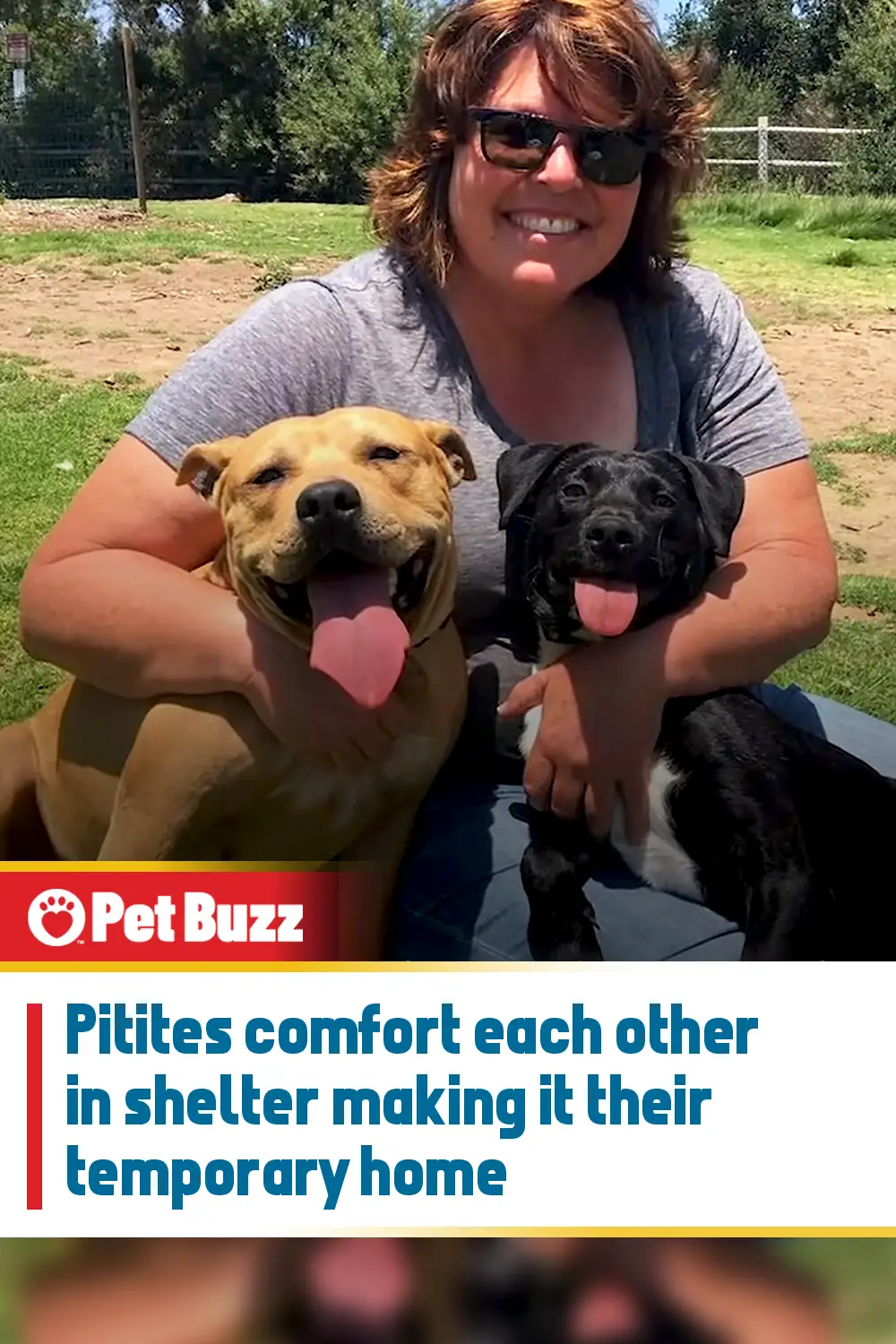 Pitites comfort each other in shelter making it their temporary home