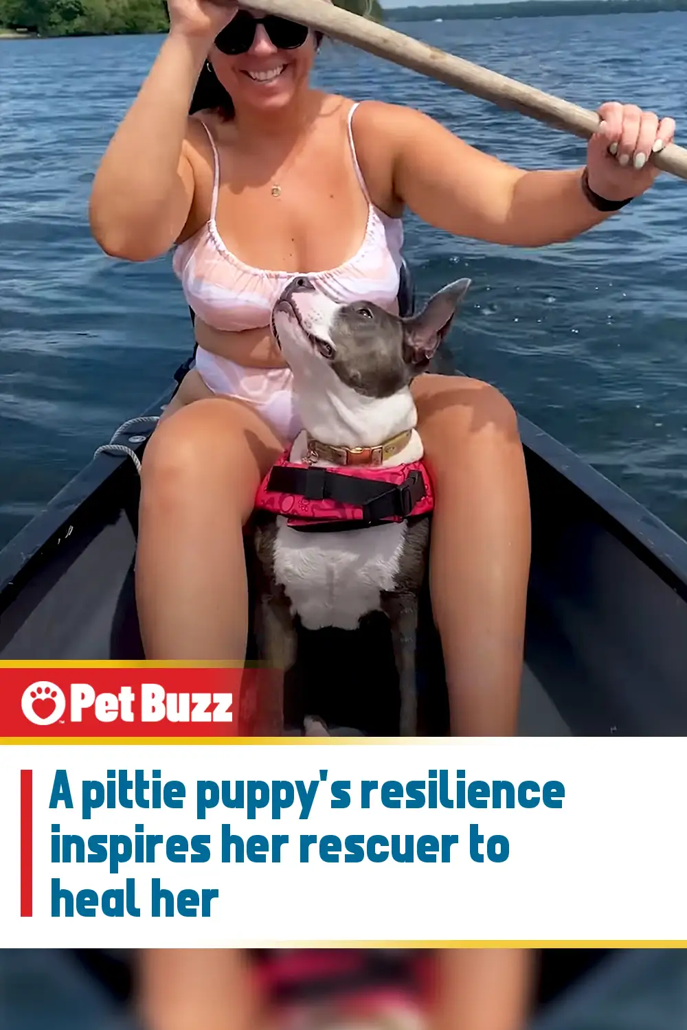 A pittie puppy\'s resilience inspires her rescuer to heal her