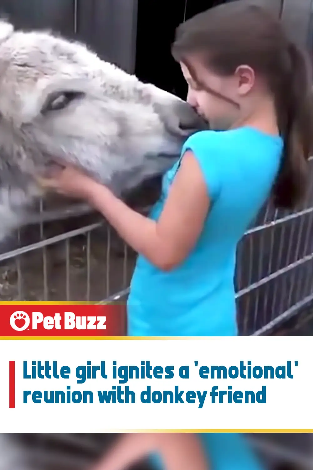 Little girl ignites a \'emotional\' reunion with donkey friend