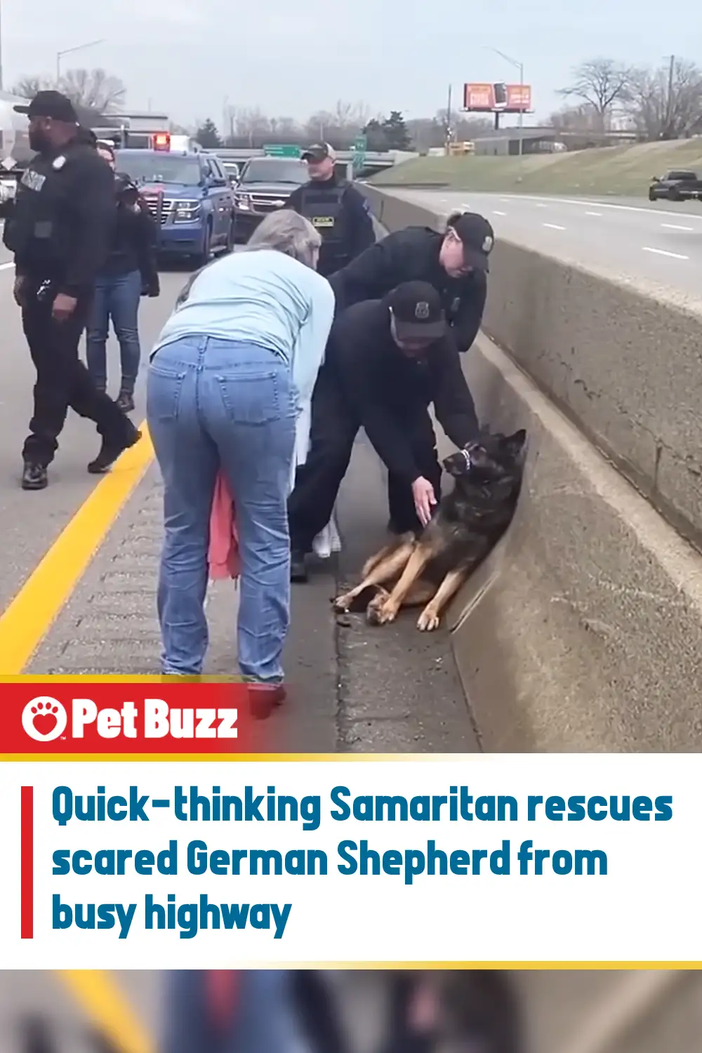 Quick-thinking Samaritan rescues scared German Shepherd from busy highway