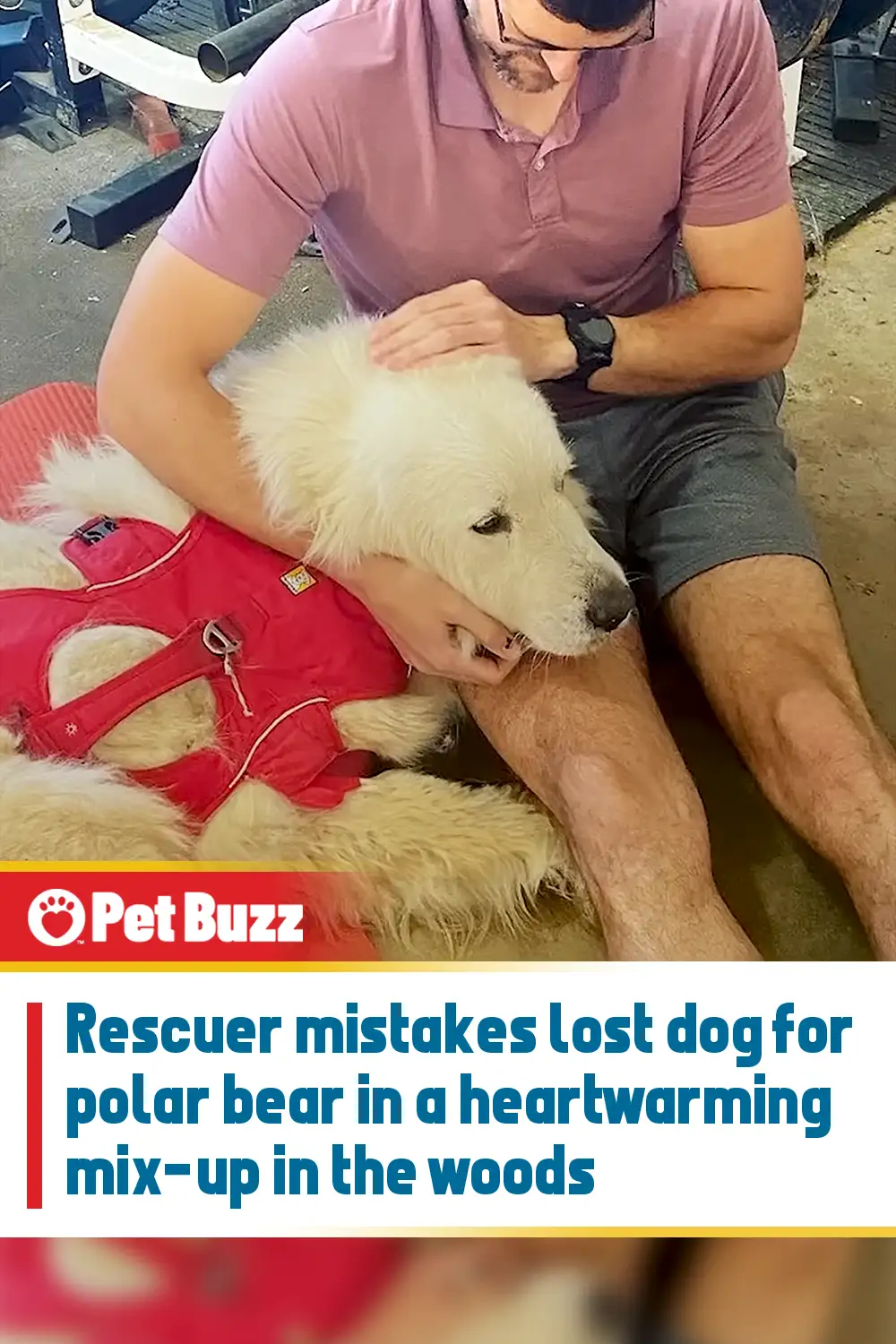 Rescuer mistakes lost dog for polar bear in a heartwarming mix-up in the woods