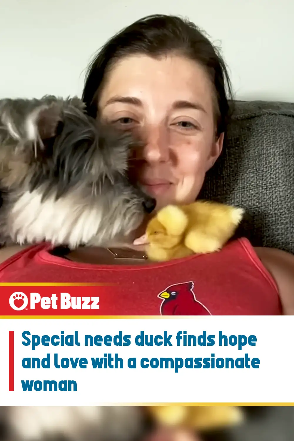 Special needs duck finds hope and love with a compassionate woman