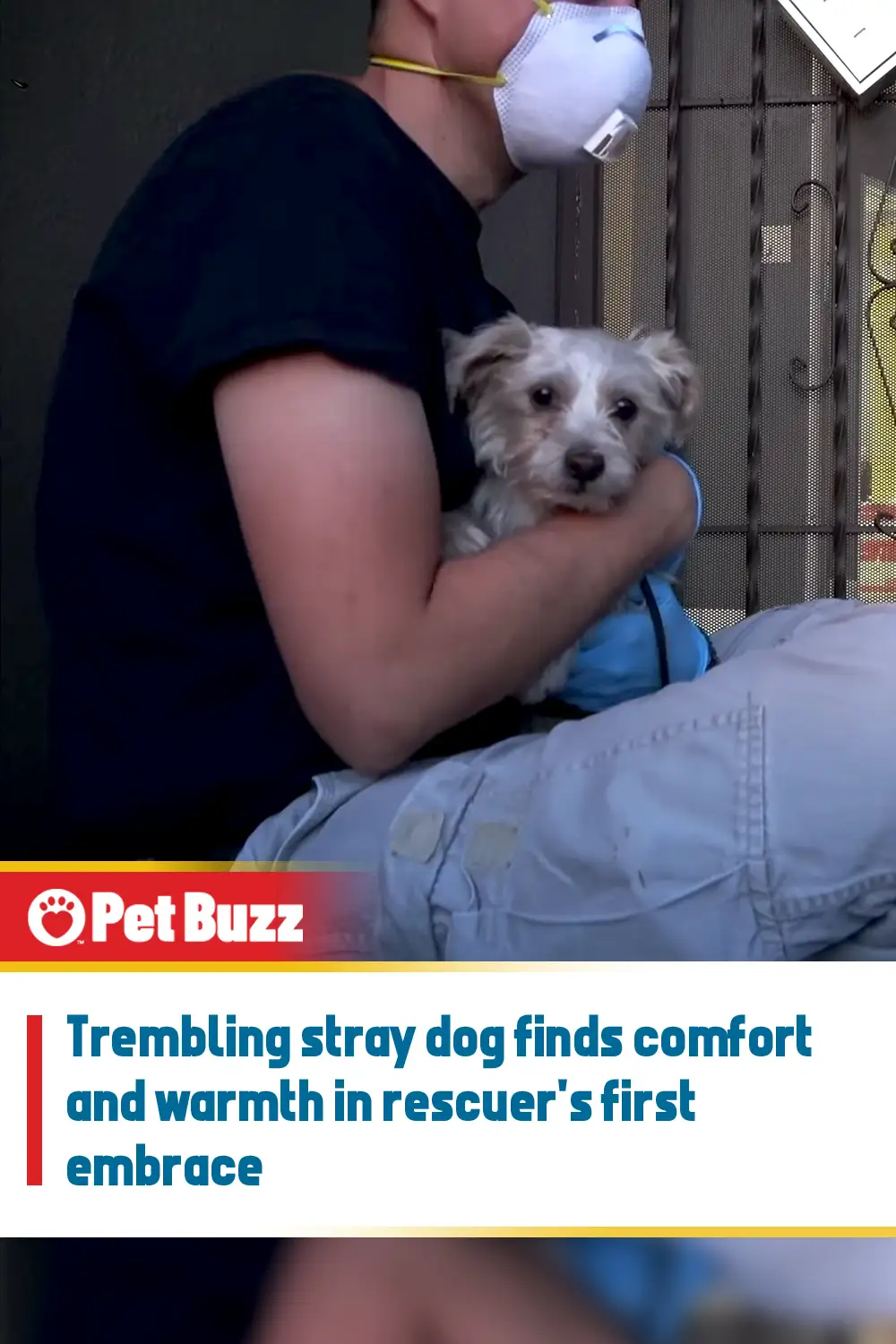 Trembling stray dog finds comfort and warmth in rescuer\'s first embrace
