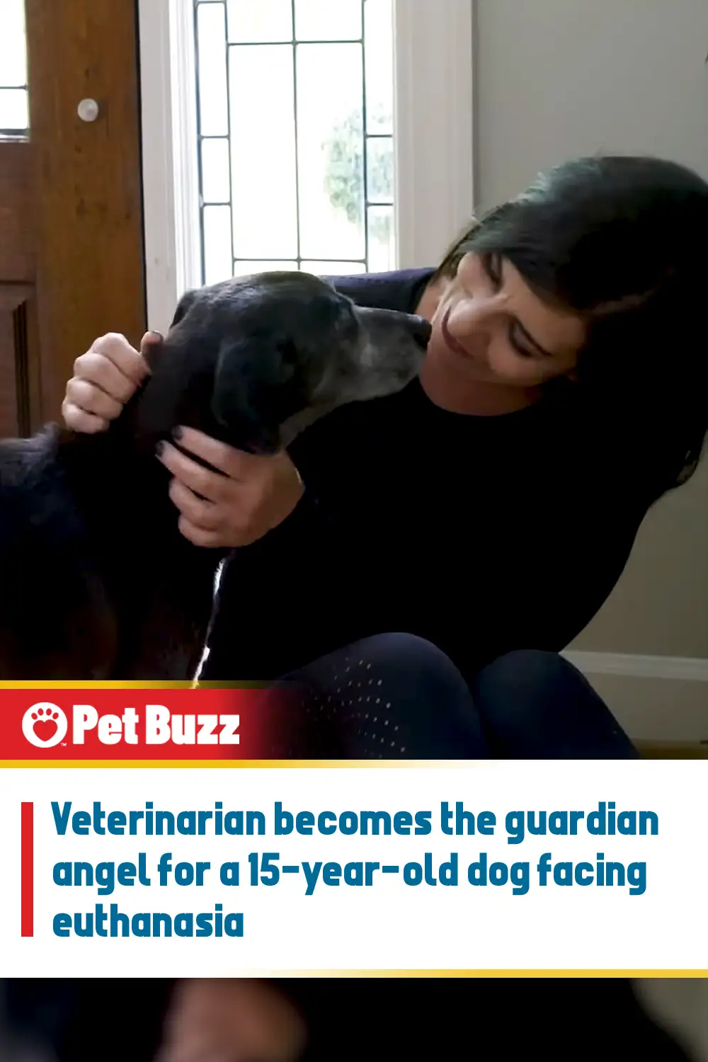 Veterinarian becomes the guardian angel for a 15-year-old dog facing euthanasia