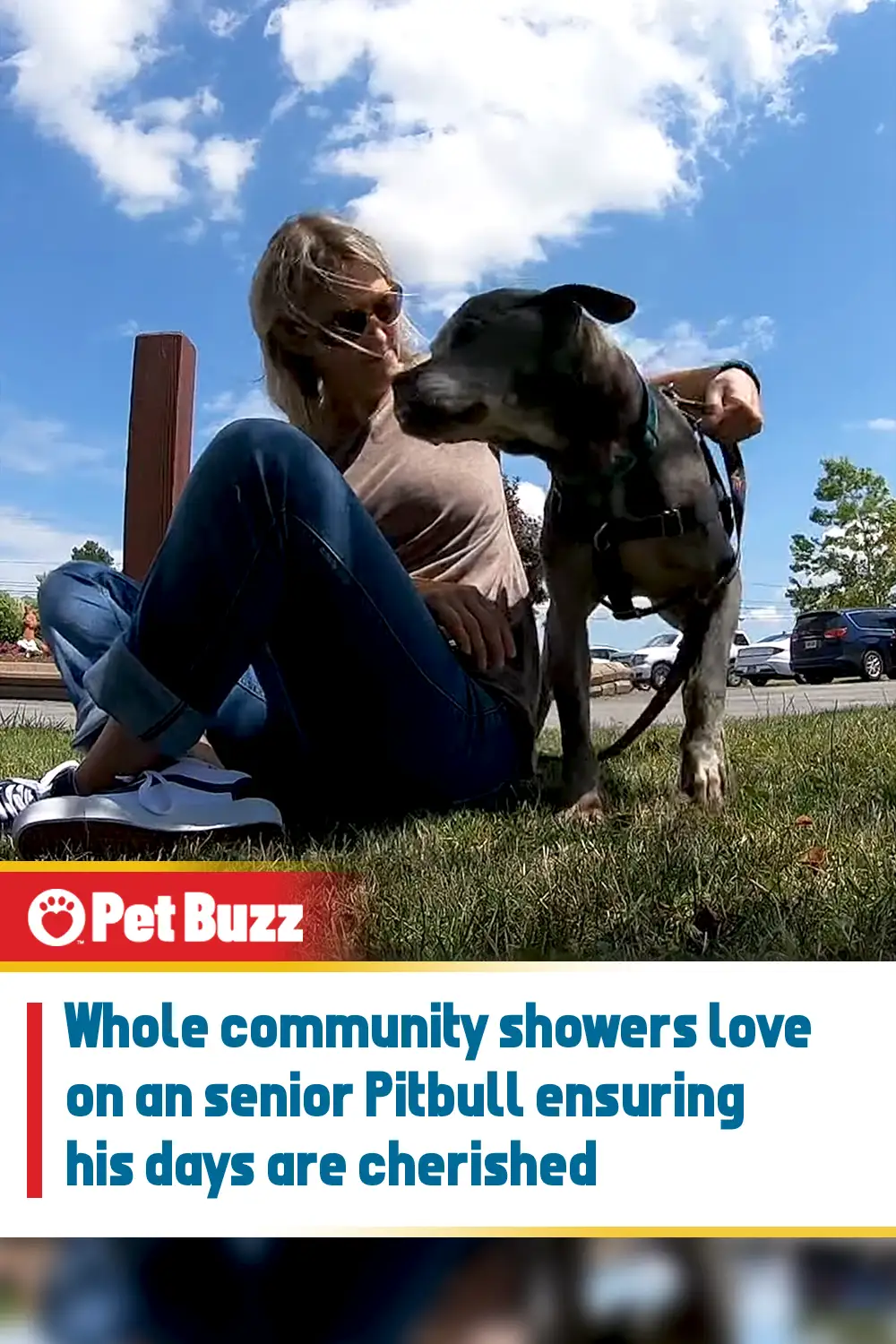 Whole community showers love on an senior Pitbull ensuring his days are cherished