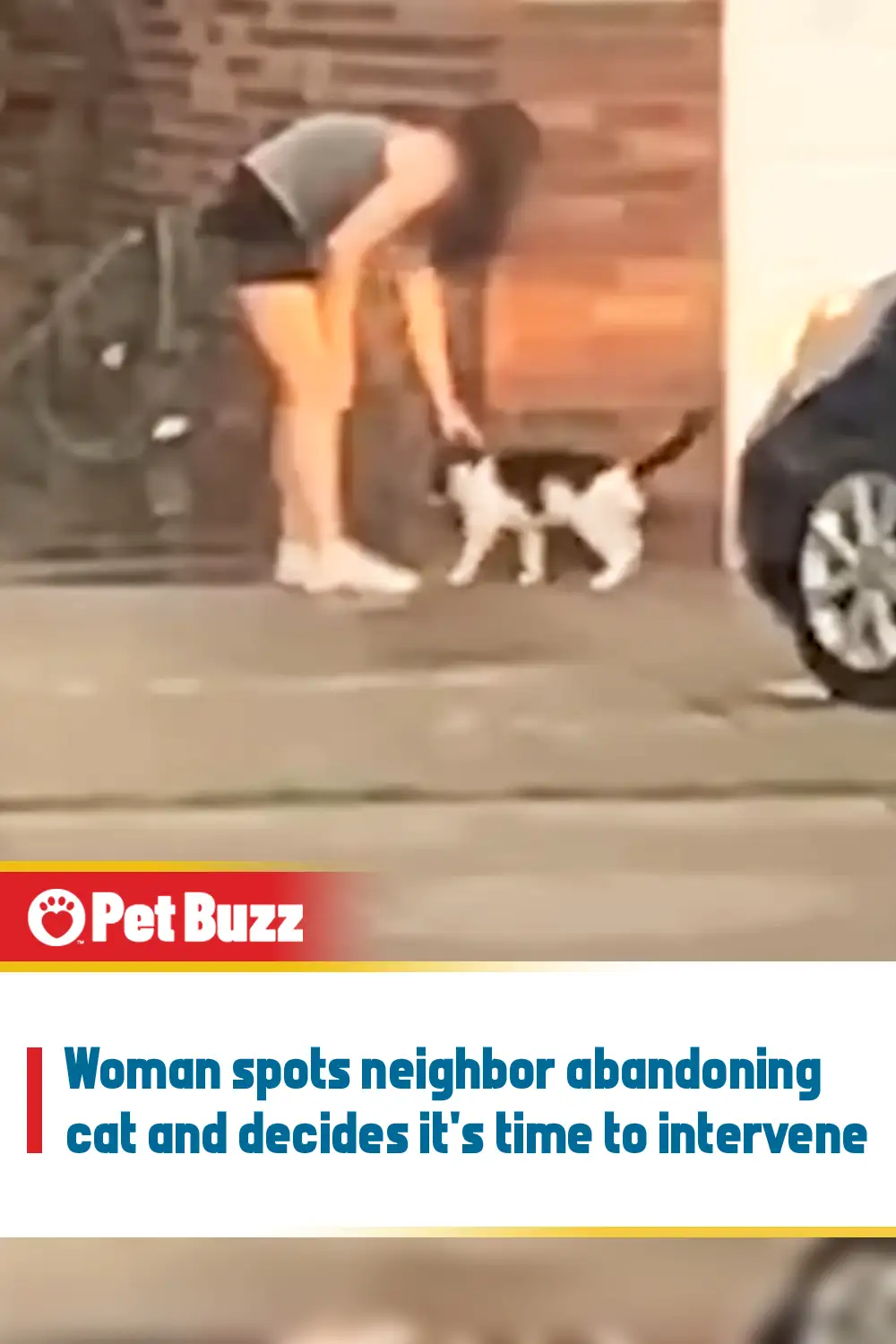 Woman spots neighbor abandoning cat and decides it\'s time to intervene