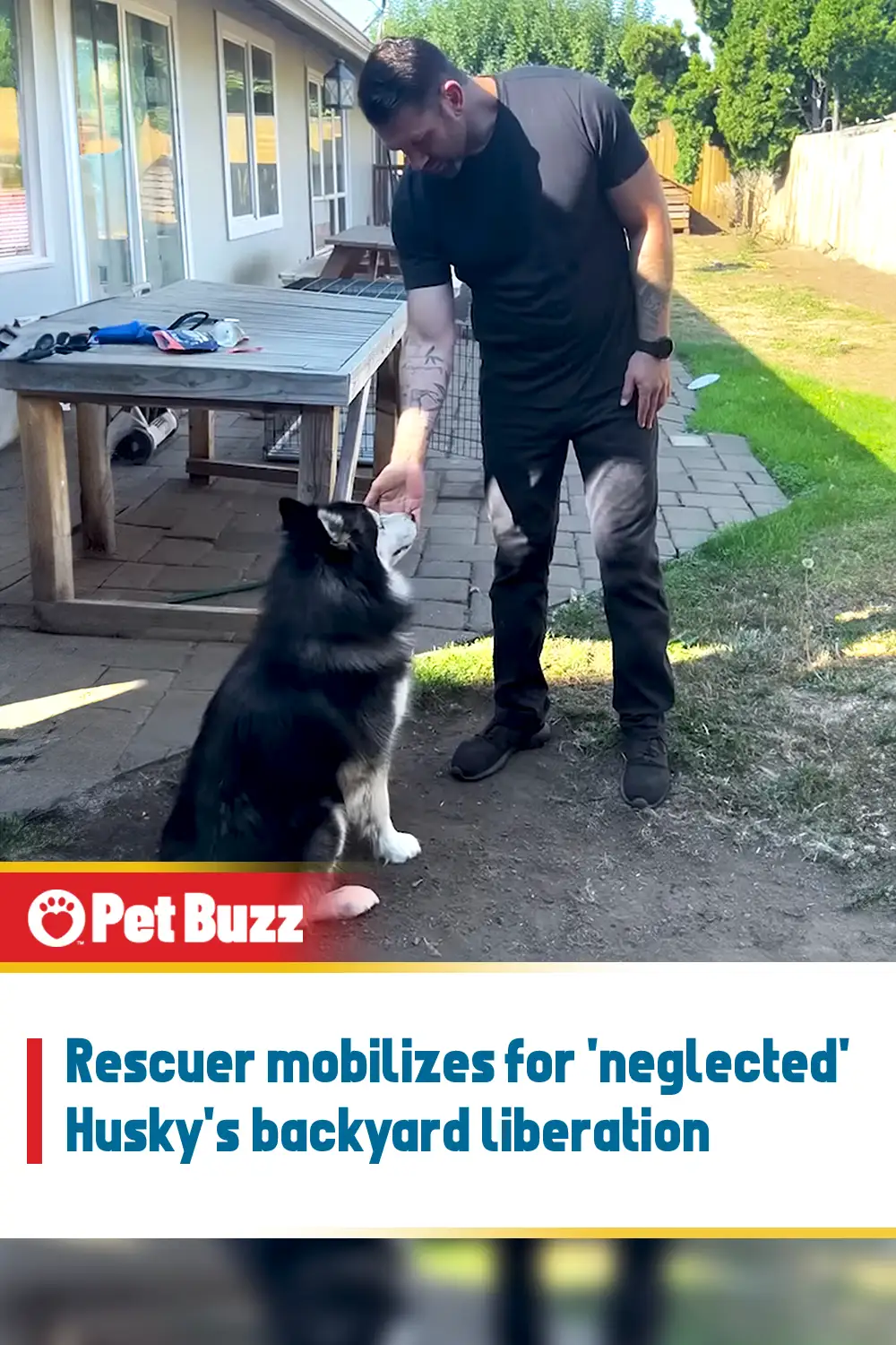Rescuer mobilizes for \'neglected\' Husky\'s backyard liberation