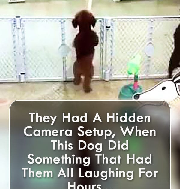Pinterest Hidden Image