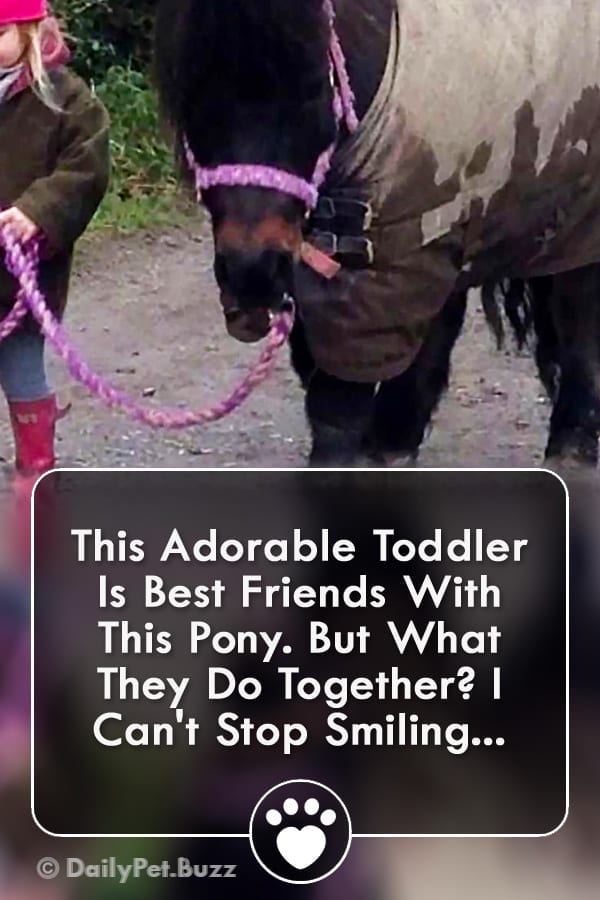 This Adorable Toddler Is Best Friends With This Pony. But What They Do Together? I Can\'t Stop Smiling...
