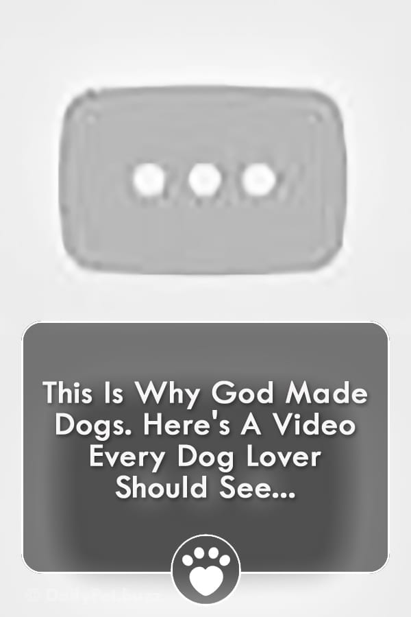 This Is Why God Made Dogs. Here\'s A Video Every Dog Lover Should See...