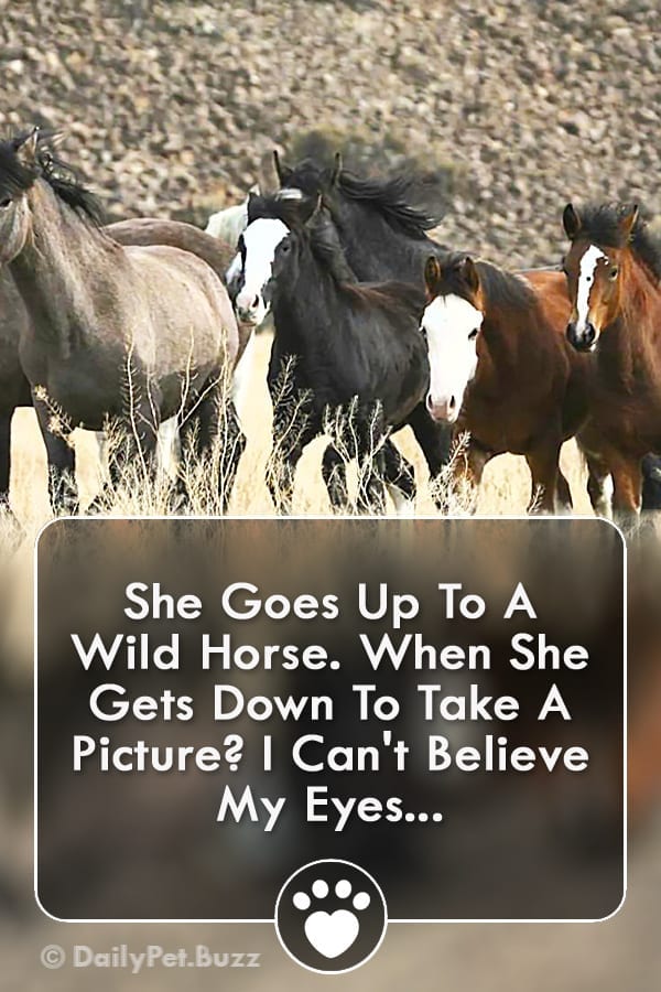 She Goes Up To A Wild Horse. When She Gets Down To Take A Picture? I Can\'t Believe My Eyes...