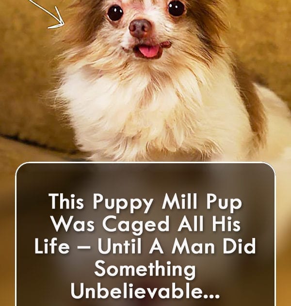 Pinterest Hidden Image