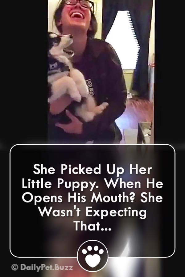 She Picked Up Her Little Puppy. When He Opens His Mouth? She Wasn\'t Expecting That...