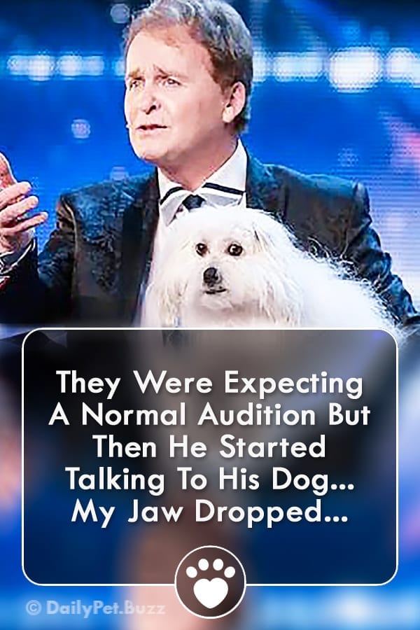 They Were Expecting A Normal Audition But Then He Started Talking To His Dog... My Jaw Dropped