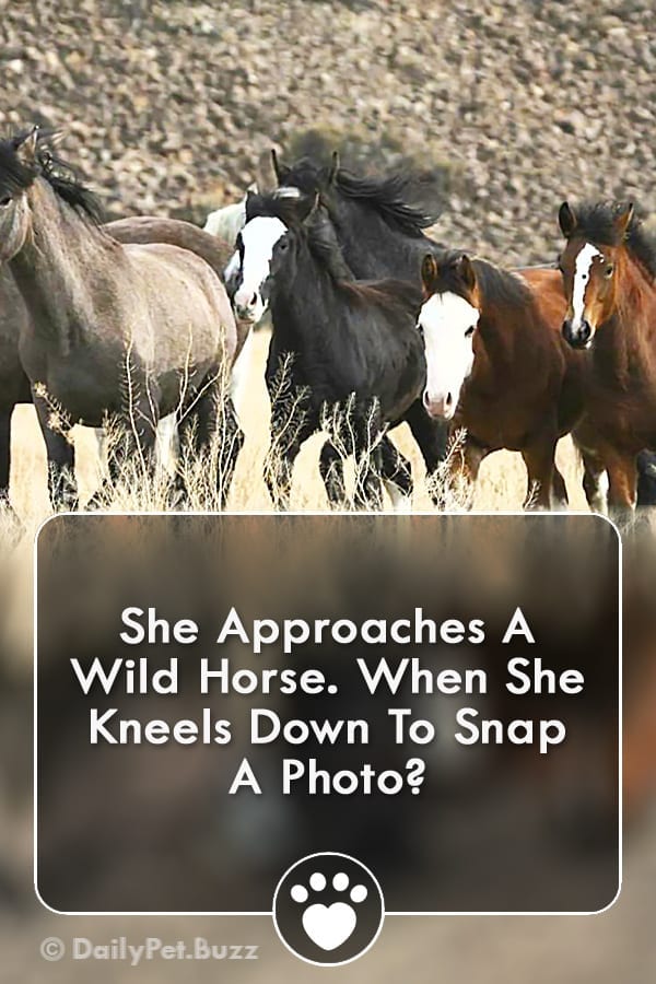 She Approaches A Wild Horse. When She Kneels Down To Snap A Photo?
