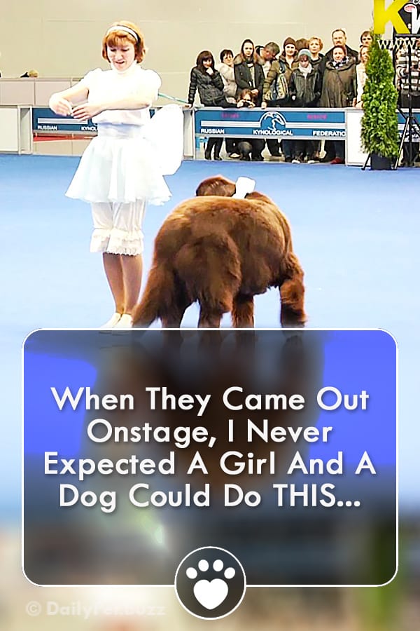When They Came Out Onstage, I Never Expected A Girl And A Dog Could Do THIS...