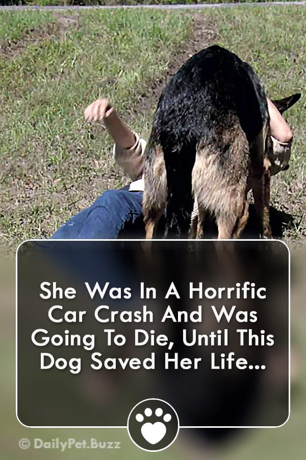 She Was In A Horrific Car Crash And Was Going To Die, Until This Dog Saved Her Life...