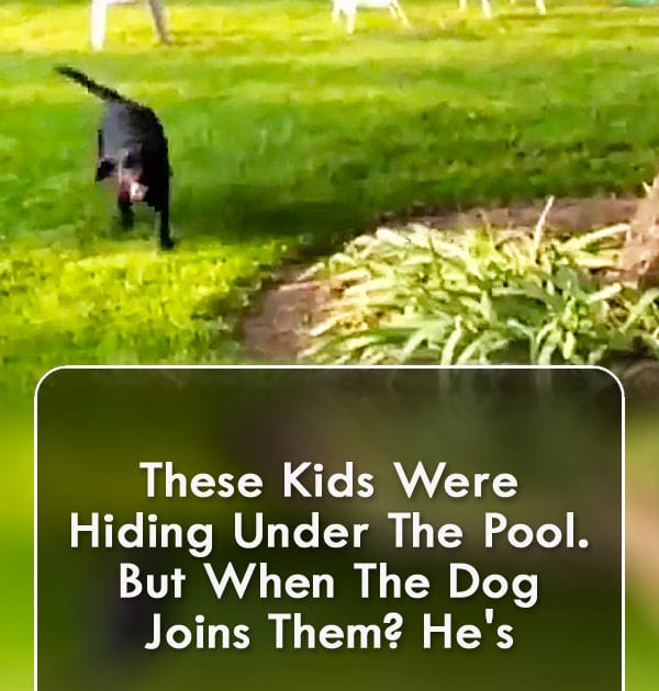 Pinterest Hidden Image