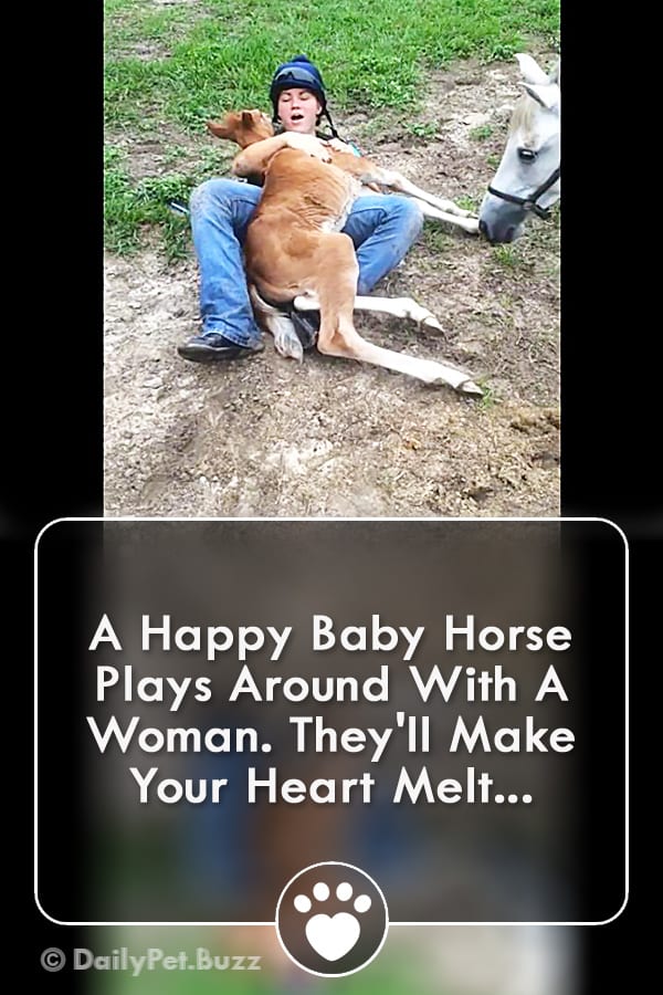 A Happy Baby Horse Plays Around With A Woman. They\'ll Make Your Heart Melt...
