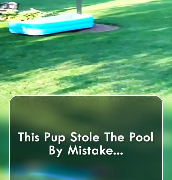 Pinterest Hidden Image