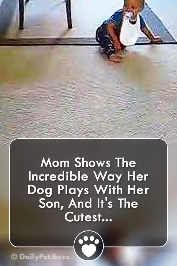 Mom Shows The Incredible Way Her Dog Plays With Her Son, And It\'s The Cutest...