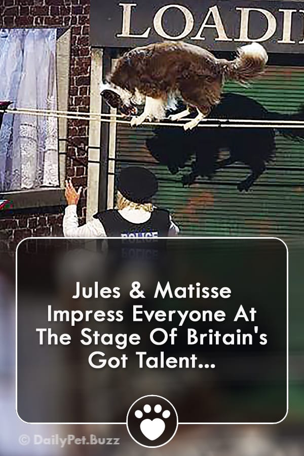 Jules & Matisse Impress Everyone At The Stage Of Britain\'s Got Talent...