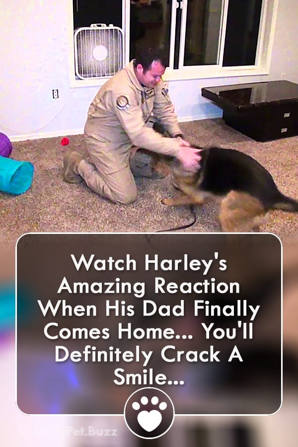 Watch Harley\'s Amazing Reaction When His Dad Finally Comes Home... You\'ll Definitely Crack A Smile!