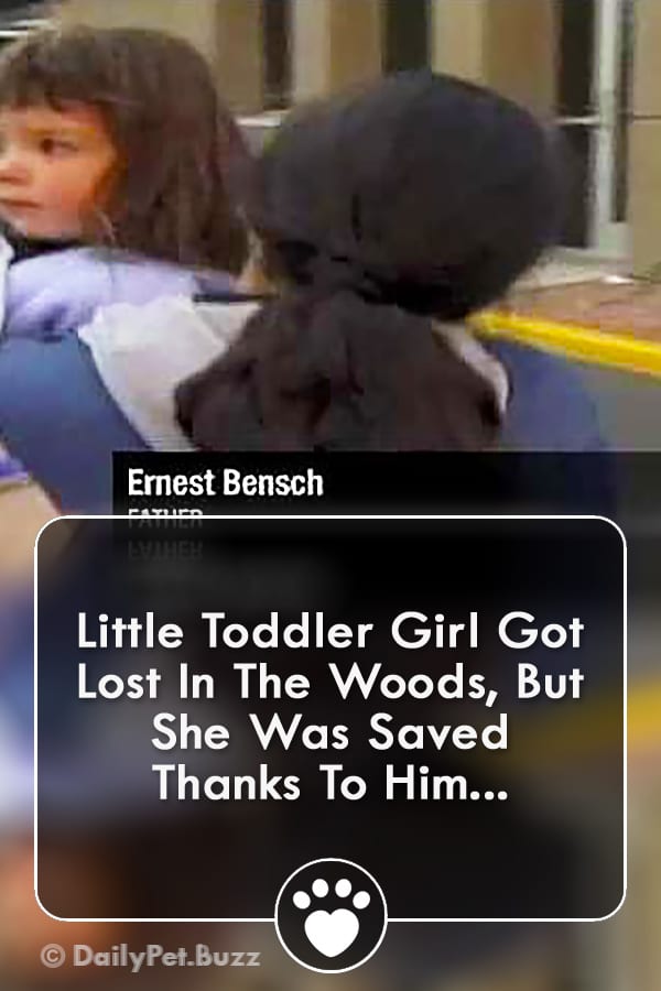 Little Toddler Girl Got Lost In The Woods, But She Was Saved Thanks To Him...