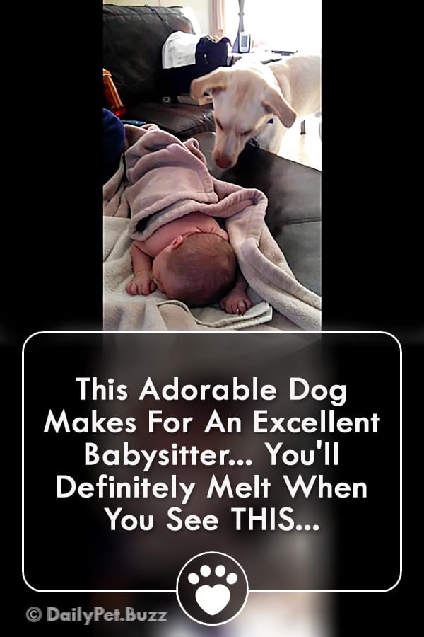 This Adorable Dog Makes For An Excellent Babysitter... You\'ll Definitely Melt When You See THIS...