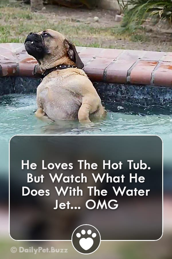 He Loves The Hot Tub. But Watch What He Does With The Water Jet... OMG