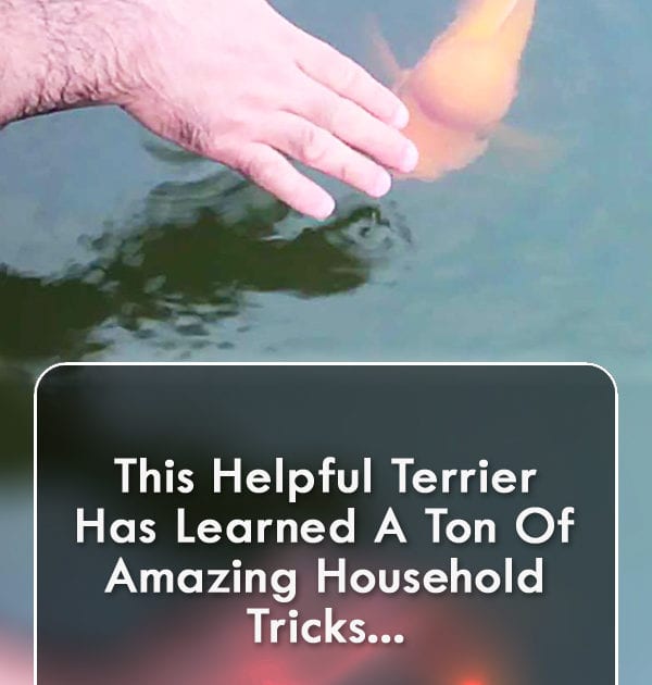 Pinterest Hidden Image