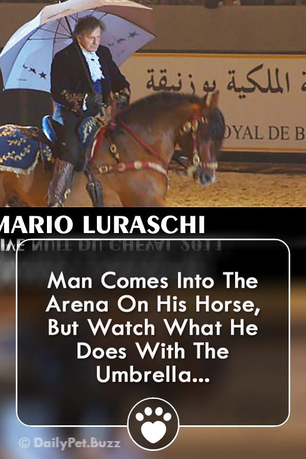 Man Comes Into The Arena On His Horse, But Watch What He Does With The Umbrella...