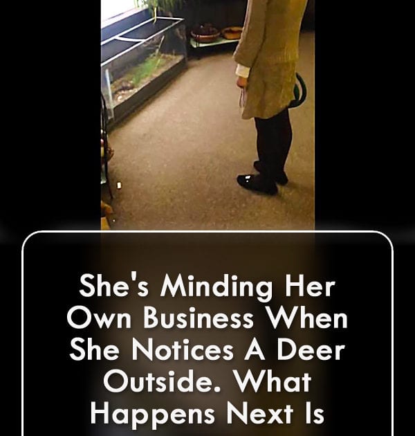 Pinterest Hidden Image