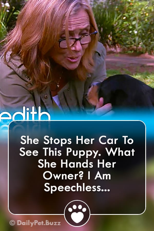 She Stops Her Car To See This Puppy. What She Hands Her Owner? I Am Speechless...
