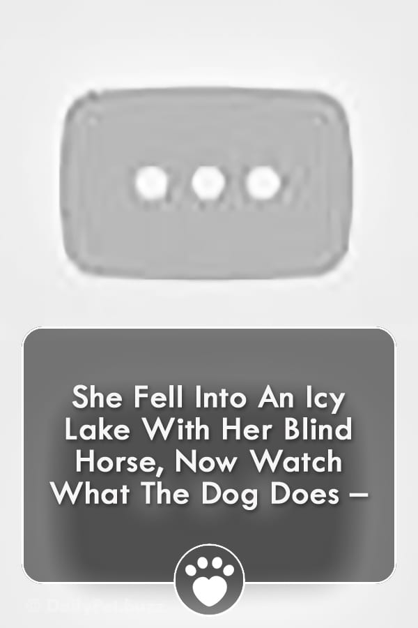 She Fell Into An Icy Lake With Her Blind Horse, Now Watch What The Dog Does –