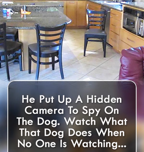 Pinterest Hidden Image