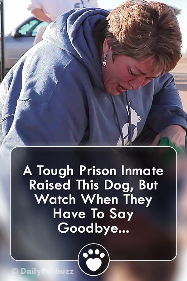 A Tough Prison Inmate Raised This Dog, But Watch When They Have To Say Goodbye...