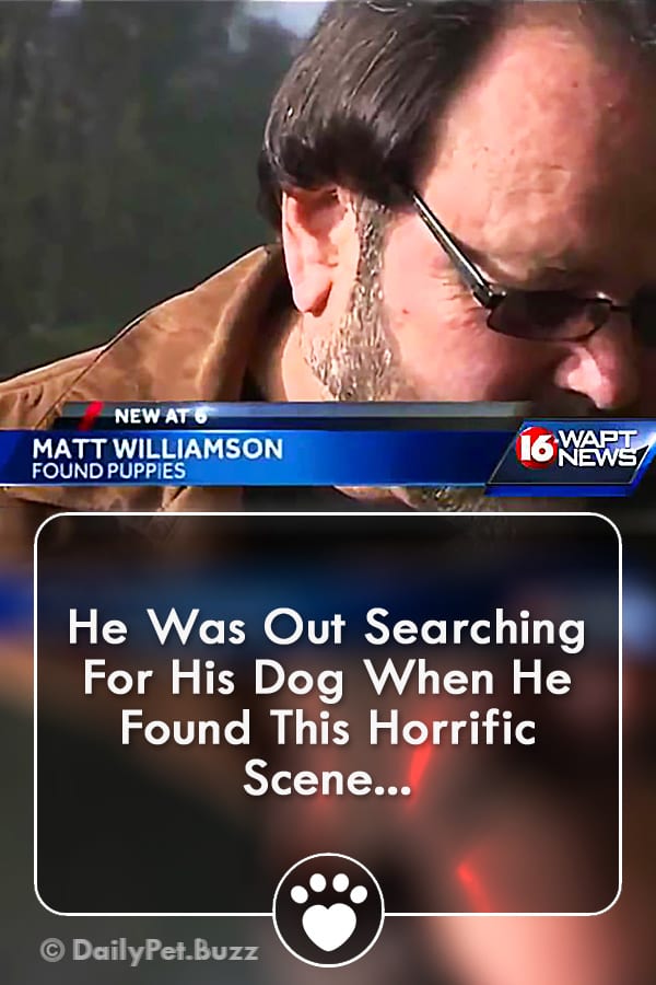 He Was Out Searching For His Dog When He Found This Horrific Scene...