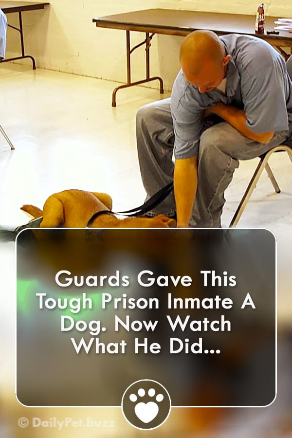 Guards Gave This Tough Prison Inmate A Dog. Now Watch What He Did...