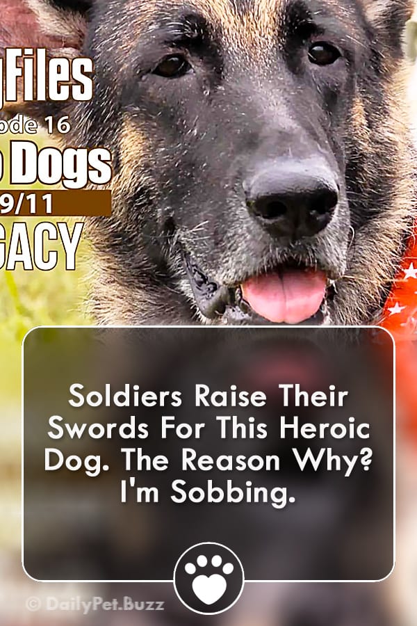 Soldiers Raise Their Swords For This Heroic Dog. The Reason Why? I\'m Sobbing.