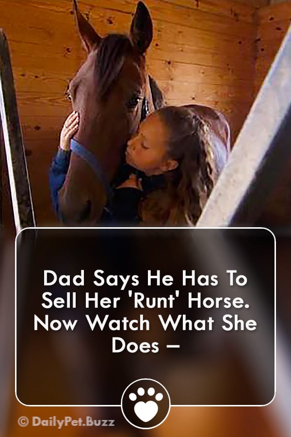 Dad Says He Has To Sell Her \'Runt\' Horse. Now Watch What She Does –