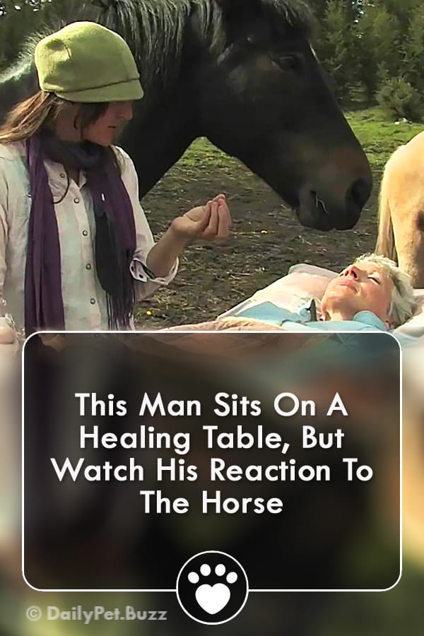 This Man Sits On A Healing Table, But Watch His Reaction To The Horse