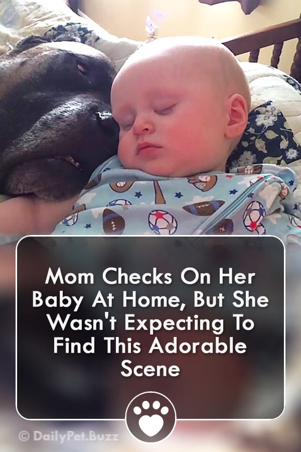 Mom Checks On Her Baby At Home, But She Wasn\'t Expecting To Find This Adorable Scene