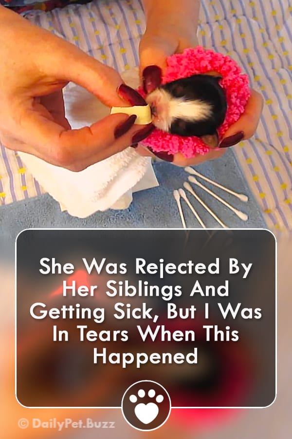 She Was Rejected By Her Siblings And Getting Sick, But I Was In Tears When This Happened